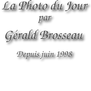 La Photo Du Jour